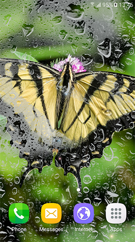 Скачать бесплатно живые обои Macro butterflies на Андроид телефоны и планшеты.
