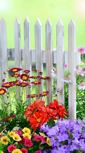 Скачать бесплатные живые обои Растения для Андроид на рабочий стол планшета: Magic garden by Jango LWP Studio.