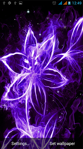 0 neon flowers by live wallpapers gallery010