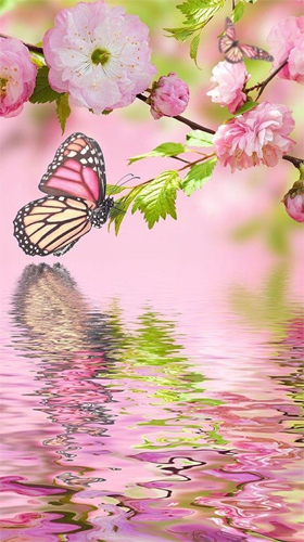 Скачать бесплатные живые обои Животные для Андроид на рабочий стол планшета: Pink butterfly by Live Wallpaper Workshop.