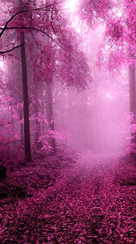 Скачать бесплатно живые обои Pink forest на Андроид телефоны и планшеты.