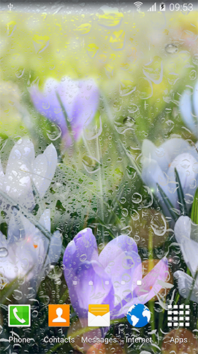 Скачать бесплатные живые обои для Андроид на рабочий стол планшета: Rainy flowers.