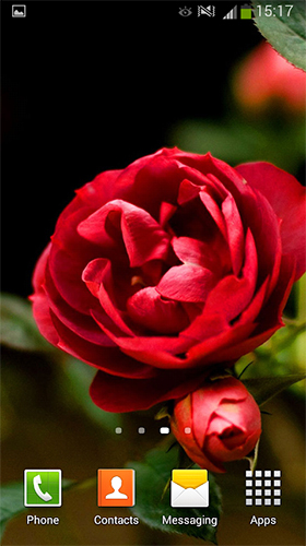 Скачать бесплатно живые обои Roses by Cute Live Wallpapers And Backgrounds на Андроид телефоны и планшеты.