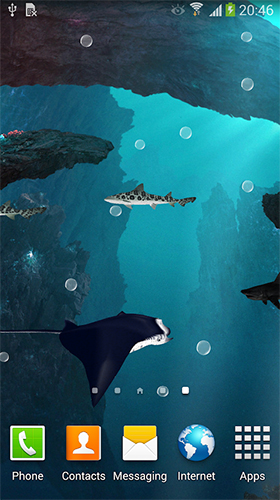 Скачать бесплатные живые обои Животные для Андроид на рабочий стол планшета: Sharks 3D by BlackBird Wallpapers.