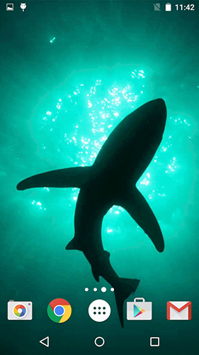Скачать бесплатно живые обои Sharks by Fun Live Wallpapers на Андроид телефоны и планшеты.
