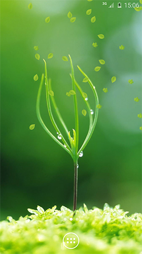 Скачать бесплатные живые обои Растения для Андроид на рабочий стол планшета: Spring greens.