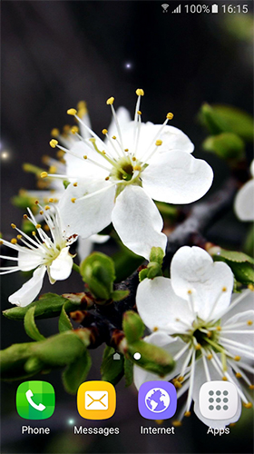 Скачать бесплатные живые обои Растения для Андроид на рабочий стол планшета: Springtime.