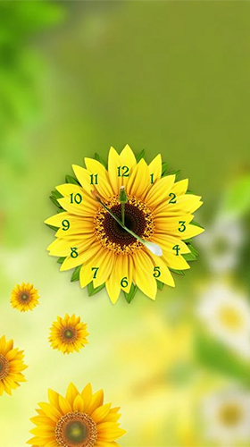 Скачать бесплатно живые обои Sunflower clock на Андроид телефоны и планшеты.