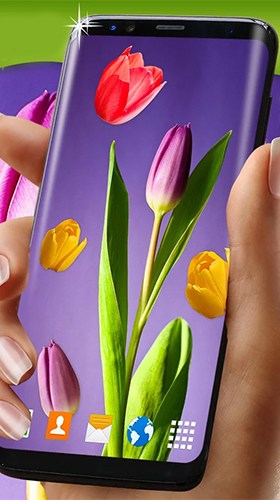 Скачать бесплатные живые обои Цветы для Андроид на рабочий стол планшета: Tulips by 3D HD Moving Live Wallpapers Magic Touch Clocks.