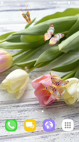 Скачать бесплатные живые обои Цветы для Андроид на рабочий стол планшета: Tulips by Live Wallpapers 3D.
