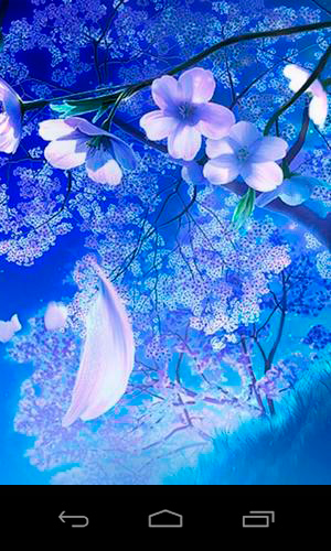 Скачать бесплатные живые обои Растения для Андроид на рабочий стол планшета: 3D sakura magic.