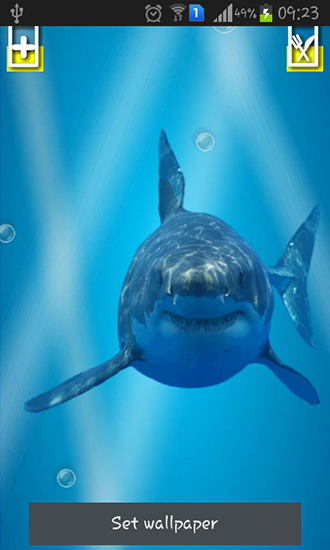 Angry shark: Cracked screen - скачать живые обои на Андроид 4.0. .�.�. .�.�.�.�.�.�.�.� телефон бесплатно.