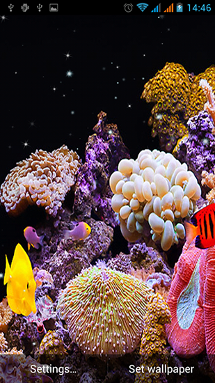 Скачать бесплатные живые обои Аквариумы для Андроид на рабочий стол планшета: Aquarium by Best Live Wallpapers Free.