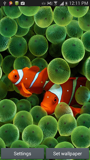 Скачать бесплатно живые обои Aquarium by Seafoam на Андроид телефоны и планшеты.