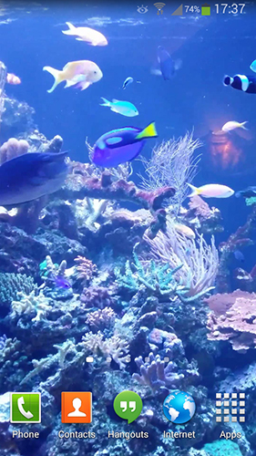 Скачать бесплатно живые обои Aquarium HD 2 на Андроид телефоны и планшеты.