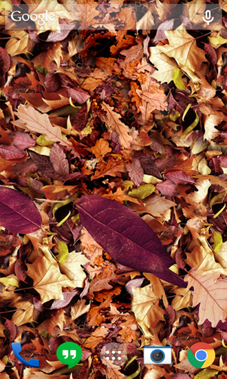 Скачать Autumn Leaves - бесплатные живые обои для Андроида на рабочий стол.