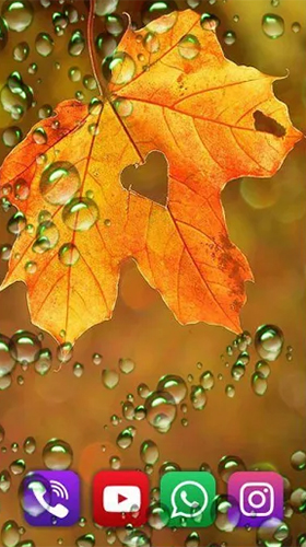 Скачать Autumn rain by SweetMood - бесплатные живые обои для Андроида на рабочий стол.