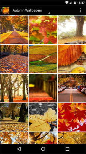 Скачать Autumn wallpapers by Infinity - бесплатные живые обои для Андроида на рабочий стол.