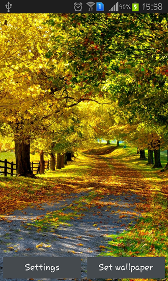 Скачать бесплатно живые обои Autumn by Best wallpapers на Андроид телефоны и планшеты.