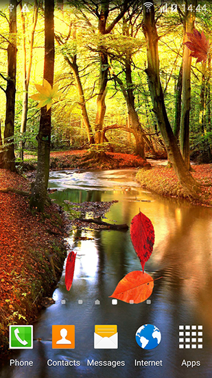 Скачать бесплатно живые обои Autumn forest на Андроид телефоны и планшеты.