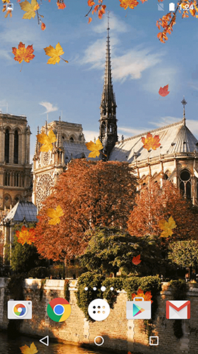 Скачать бесплатно живые обои Autumn in Paris на Андроид телефоны и планшеты.