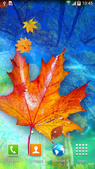Скачать бесплатно живые обои Autumn leaves на Андроид телефоны и планшеты.