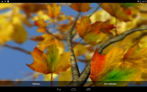 Autumn leaves 3D by Alexander Kettler - скачать живые обои на Андроид 4.0.4 телефон бесплатно.