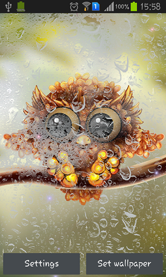 Autumn little owl - скачать живые обои на Андроид 4.0. .�.�. .�.�.�.�.�.�.�.� телефон бесплатно.