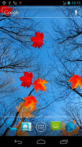 Скачать бесплатно живые обои Autumn maple на Андроид телефоны и планшеты.