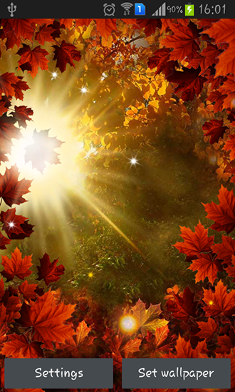 Autumn sun - скачать живые обои на Андроид 4.4.2 телефон бесплатно.