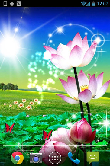 Beautiful lotus - скачать живые обои на Андроид 5.1 телефон бесплатно.