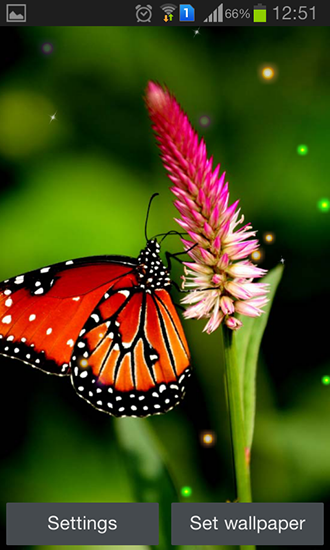 Скачать бесплатные живые обои Интерактивные для Андроид на рабочий стол планшета: Best butterfly.