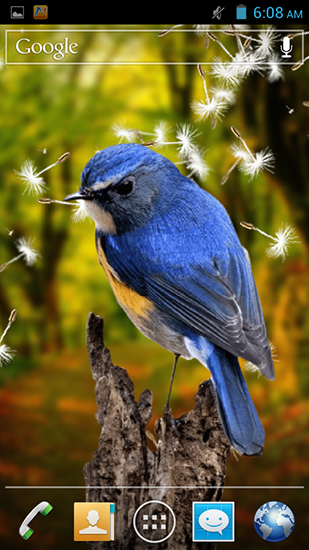 Birds 3D - скачать живые обои на Андроид 4.2 телефон бесплатно.