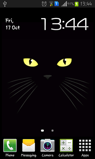 Скачать бесплатно живые обои Black cat на Андроид телефоны и планшеты.