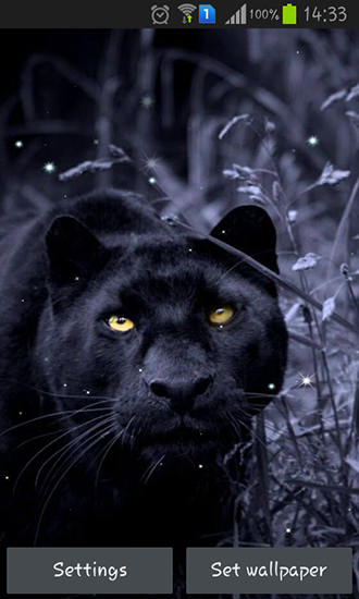 Скачать бесплатные живые обои Животные для Андроид на рабочий стол планшета: Black panther.