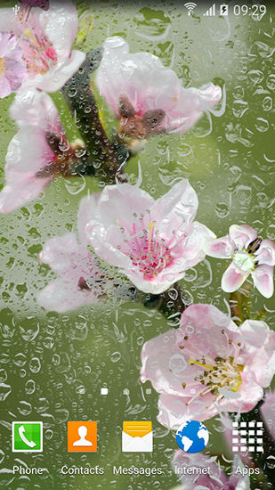 Скачать бесплатные живые обои Цветы для Андроид на рабочий стол планшета: Blooming trees.