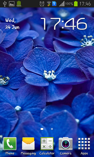Blue flowers - скачать живые обои на Андроид 4.3.1 телефон бесплатно.