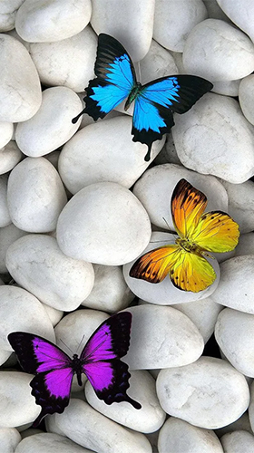 Скачать Butterflies by Happy live wallpapers - бесплатные живые обои для Андроида на рабочий стол.