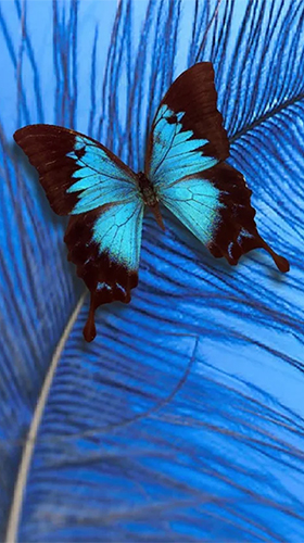 Скачать Butterfly by HQ Awesome Live Wallpaper - бесплатные живые обои для Андроида на рабочий стол.