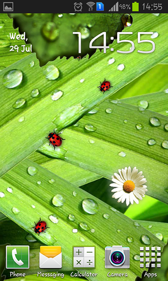 Скачать бесплатные живые обои Цветы для Андроид на рабочий стол планшета: Camomiles and ladybugs.