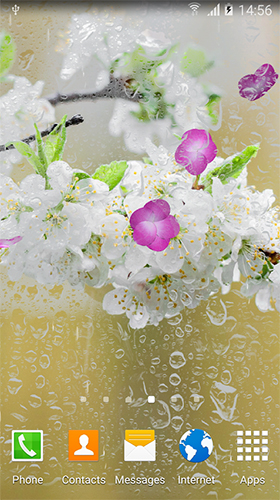 Скачать Cherry in blossom by BlackBird Wallpapers - бесплатные живые обои для Андроида на рабочий стол.