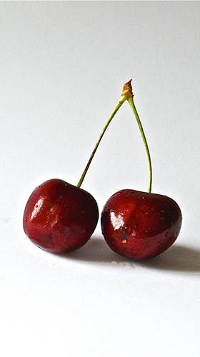 Скачать Cherry - бесплатные живые обои для Андроида на рабочий стол.