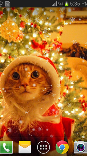 Скачать Christmas cat by live wallpaper HongKong - бесплатные живые обои для Андроида на рабочий стол.