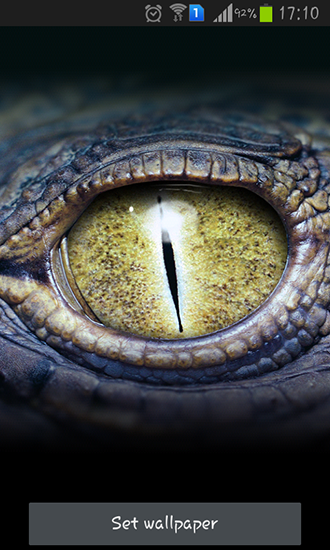 Crocodile eyes - скачать живые обои на Андроид 5.0 телефон бесплатно.