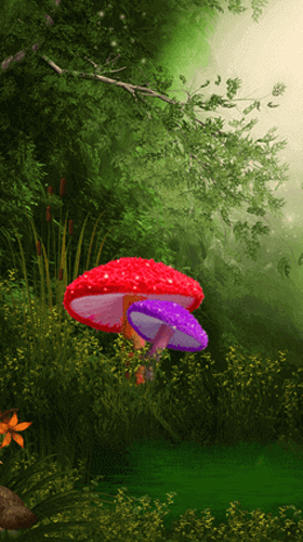 Скачать Cute mushroom - бесплатные живые обои для Андроида на рабочий стол.