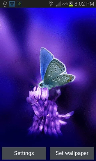 Скачать бесплатные живые обои Растения для Андроид на рабочий стол планшета: Cute butterfly by Daksh apps.