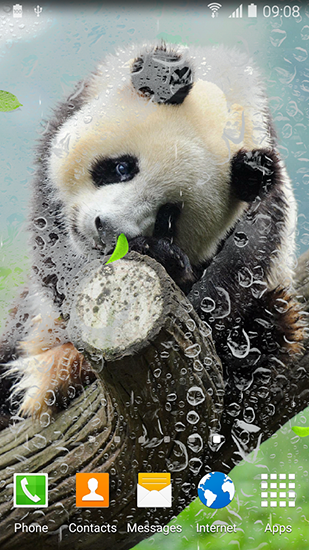 Скачать бесплатные живые обои Интерактивные для Андроид на рабочий стол планшета: Cute panda.