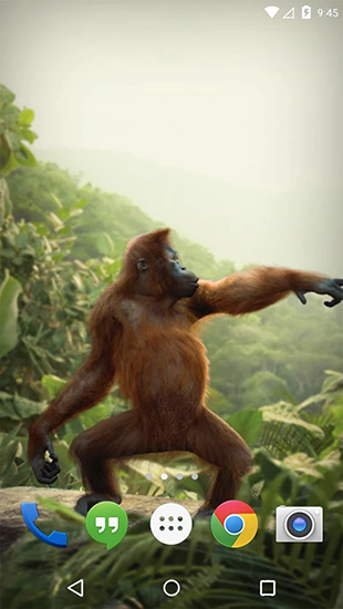 Dancing monkey - скачать живые обои на Андроид 4.4.2 телефон бесплатно.