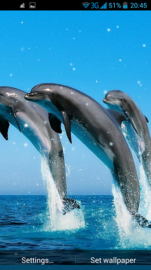Скачать бесплатные живые обои Животные для Андроид на рабочий стол планшета: Dolphin 3D.