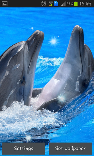 Скачать бесплатно живые обои Dolphins на Андроид телефоны и планшеты.